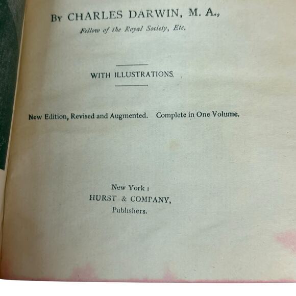 HC 1874 "The Descent of Man and Selection in Relation to Sex" Darwin Hurst & CO - Picture 15 of 16